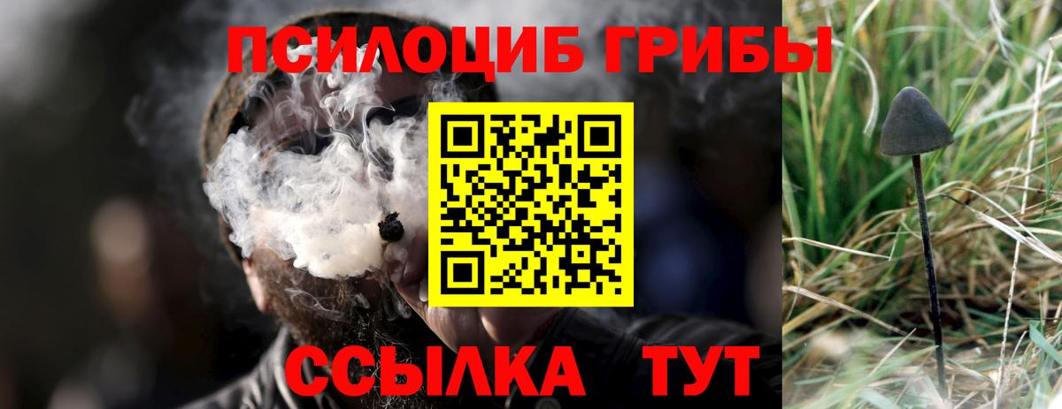 Псилоцибиновые грибы мицелий  Вход с VPN  цена   Псилоцибиновые грибы GOLDEN TEACHER  Керчь 